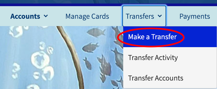 Make a transfer